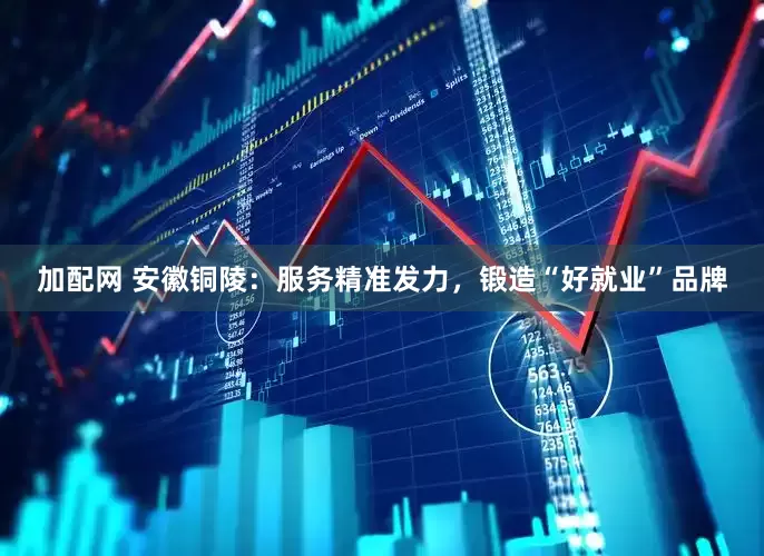 加配網(wǎng) 安徽銅陵：服務(wù)精準發(fā)力，鍛造“好就業(yè)”品牌