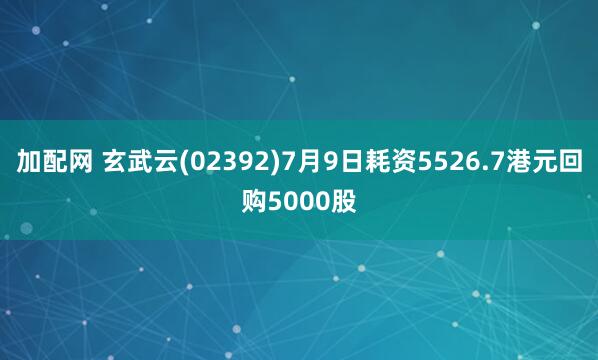 加配網(wǎng) 玄武云(02392)7月9日耗資5526.7港元回購5000股